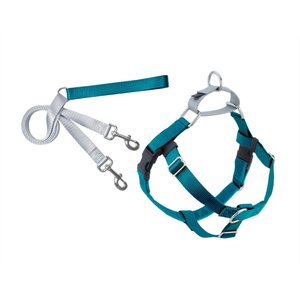 2 HOUNDS DESIGN Freedom No Pull Nylon Dog Harness & Leash, Teal, Medium ...