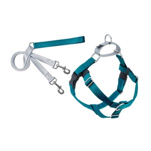 2 Hounds Design Freedom No Pull Nylon Dog Harness & Leash, Teal, Large: 26 to 32-in chest, 1-in wide