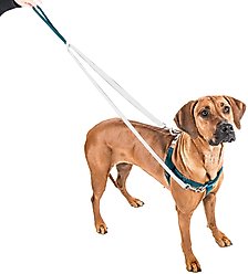 2 Hounds Design Freedom No Pull Nylon Dog Harness & Leash, Teal, Large: 26 to 32-in chest, 1-in wide slide 2 of 4