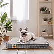 Show in main carousel: LaiFug Orthopedic Flat Dog Bed with Removable Cover, Grey Blue Plaid, Small slide 3 of 8