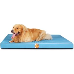 LaiFug Egg Cotton Flat Bolster Dog Bed with Removable Cover