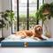 Show in main carousel: LaiFug Egg Cotton Flat Bolster Dog Bed with Removable Cover, Blue, X-Large slide 2 of 10