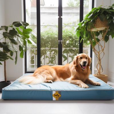 Show full view: LaiFug Egg Cotton Flat Bolster Dog Bed with Removable Cover, Blue, X-Large slide 2 of 10
