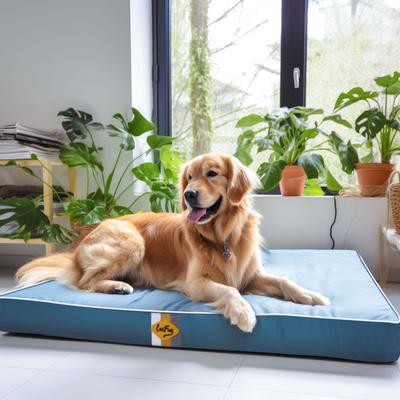 Show full view: LaiFug Egg Cotton Flat Bolster Dog Bed with Removable Cover, Blue, X-Large slide 3 of 10