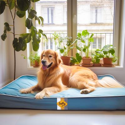 Show full view: LaiFug Egg Cotton Flat Bolster Dog Bed with Removable Cover, Blue, X-Large slide 4 of 10