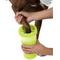 Show in main carousel: Dexas Popware for Pets Dexas MudBuster Portable Dog Paw Cleaner, Large, Green slide 3 of 8