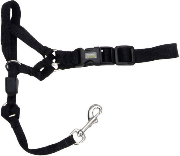 Walk 'n Train Polyester Dog Headcollar, X-Small: 10 to 13-in neck slide 1 of 9