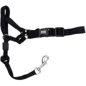 Walk 'n Train Polyester Dog Headcollar, Small: 13 to 17-in neck