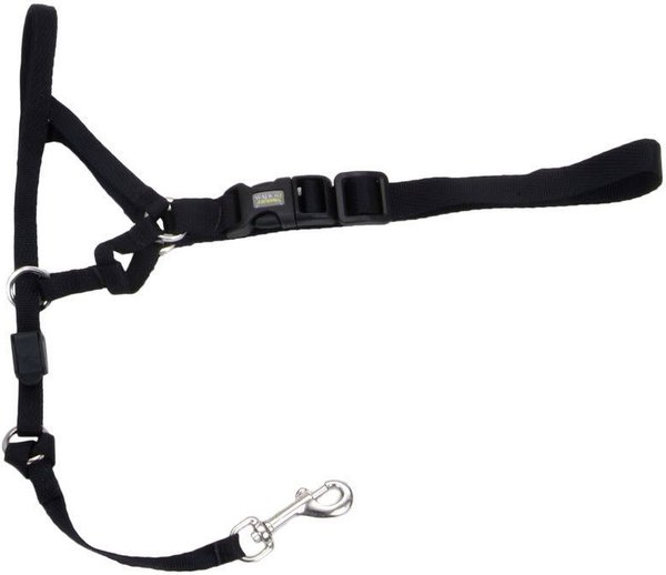 Walk 'n Train Polyester Dog Headcollar, Large: 15 to 20-in neck slide 1 of 10