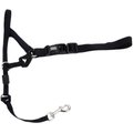 Walk 'n Train Polyester Dog Headcollar, Large: 15 to 20-in neck