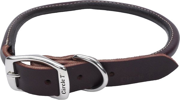 Chewy hotsell leather collar