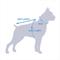 Show in main carousel: Dog Helios Lotus 2-in-1 Convertible Dog Jacket, Red, X-Small slide 5 of 6