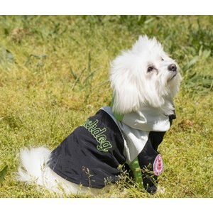 Touchdog Mount Pinnacle Dog Jacket, Black, X-Small