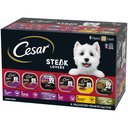 Cesar Steak Lovers Variety Pack Small Breed Adult Wet Dog Food Trays, 3.5-oz, case of 36
