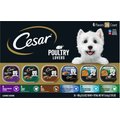Cesar Poultry Lover's Variety Pack Adult Wet Dog Food Dog Food Trays, 3.5-oz, case of 36