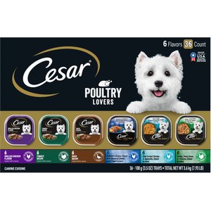 Cesar Poultry Lover's Variety Pack Adult Wet Dog Food Dog Food Trays, 3.5-oz, case of 36