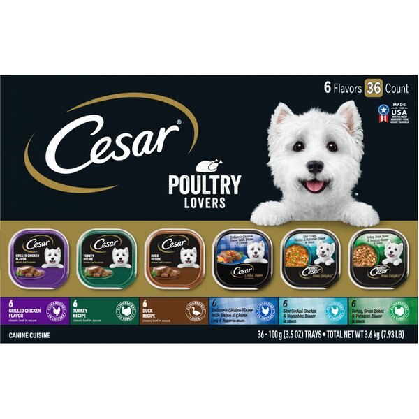 Cesar Steak & Poultry Lovers Variety Pack Small Breed Adult Wet Dog Food Trays