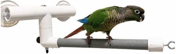 Polly's Pet Products Deluxe Window & Shower Bird Perch, Small slide 1 of 7