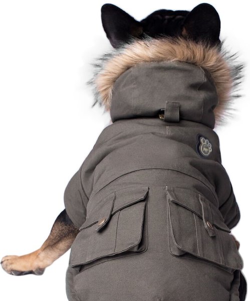 Canada Pooch Alaskan Army Premium Faux Down Insulated Dog Parka, Army Green, 10 slide 1 of 6