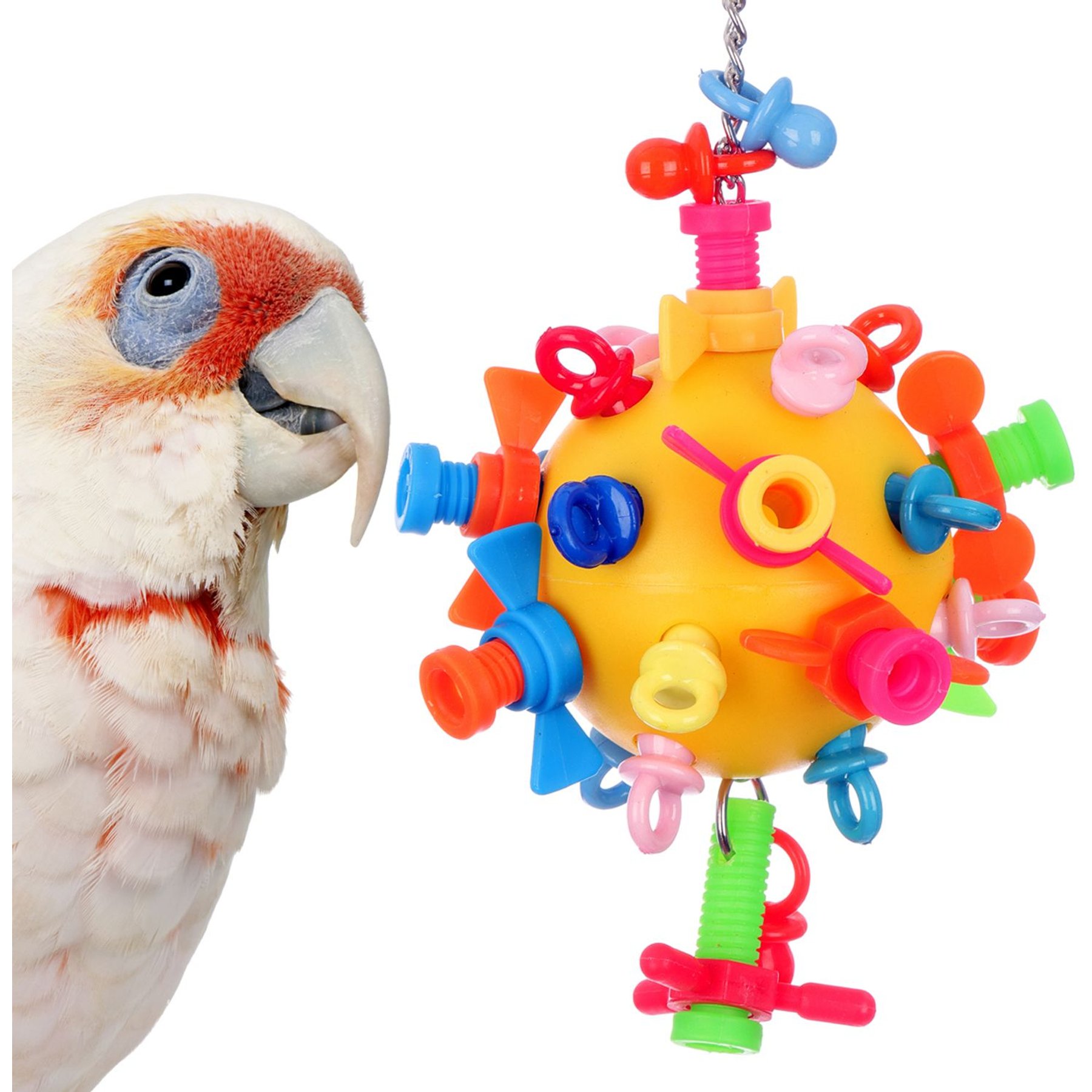 Super Bird Creations Screwball Exercise Bird Toy