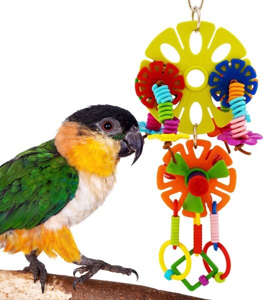Super Bird Creations Spring Twister Conure Exercise Toy