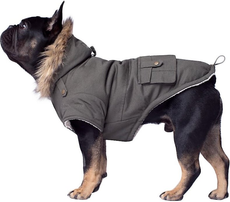 Canada pooch 2024 parka size 18