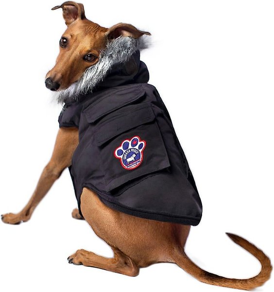 Canada Pooch Everest Explorer Premium Faux Down Insulated Dog Jacket, Black, 8 slide 1 of 8