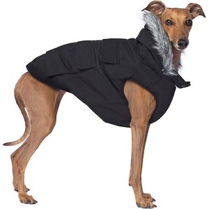 Canada Pooch Everest Explorer Premium Faux Down Insulated Dog Jacket, Black, 22