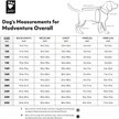 Show in main carousel: Hurtta Mudventure Overall ECO Waterproof Dog Snowsuit Coat, Raven, 10-in slide 4 of 5