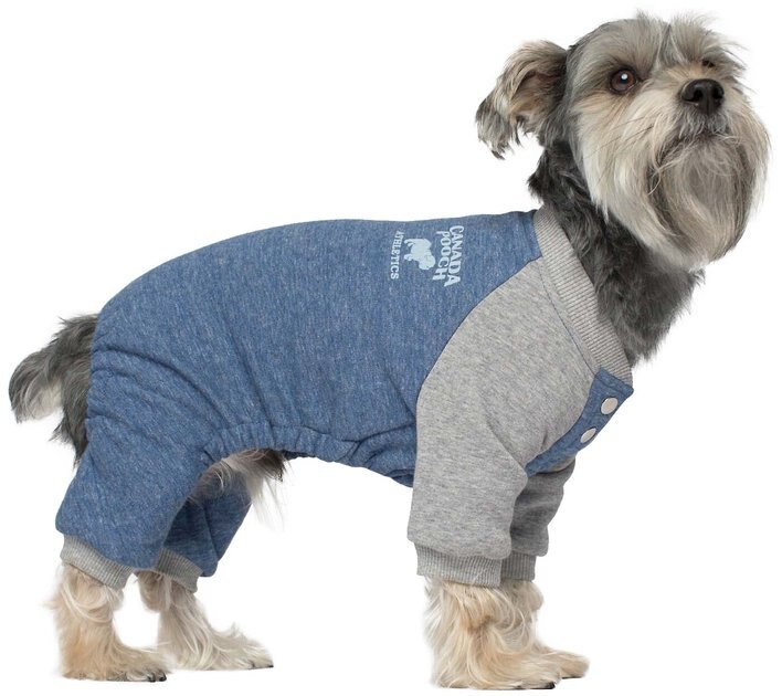 CANADA POOCH Frosty Fleece Dog Sweatsuit, Blue, 10 - Chewy.com