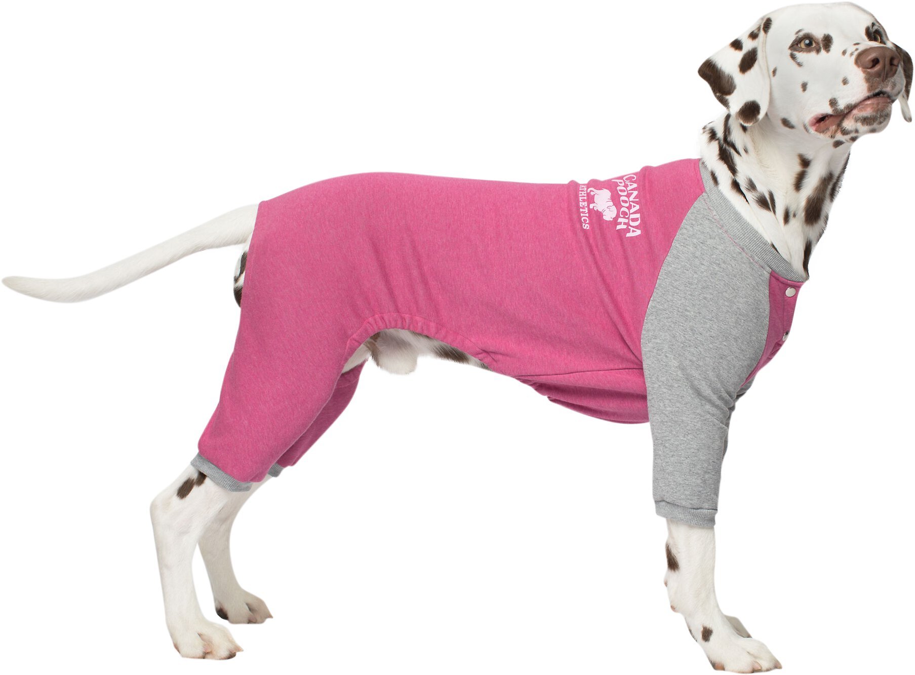 Canada pooch hotsell frosty fleece sweatsuit