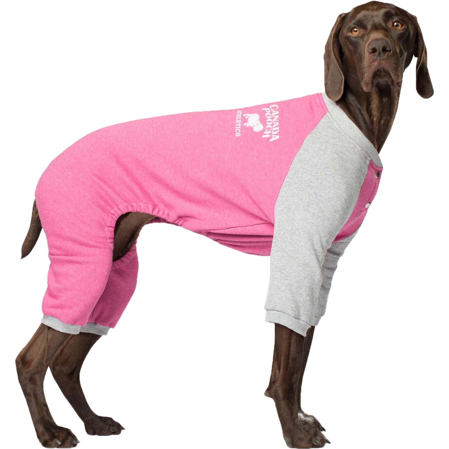 Canada pooch on sale frosty fleece sweatsuit