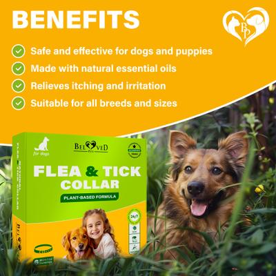 Show full view: Beloved Pets Natural Flea & Tick Collar for Dogs, 1 count slide 4 of 9