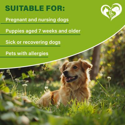 Show full view: Beloved Pets Natural Flea & Tick Collar for Dogs, 1 count slide 6 of 9