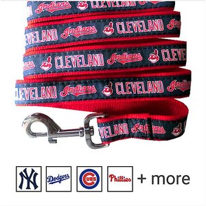 Pets First MLB Nylon Dog Leash, Cleveland Guardians, Large: 6-ft long, 1-in wide