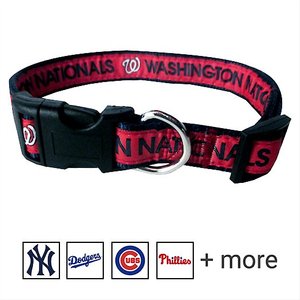 Pets First MLB Nylon Dog Collar, Washington Nationals, Small: 6 to 12-in neck, 3/8-in wide