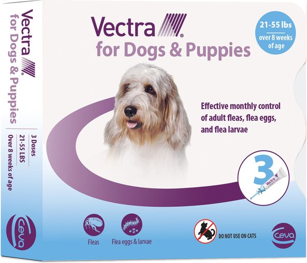 Vectra flea fashion medicine for cats