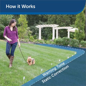 PetSafe Stubborn Dog In-Ground Fence System