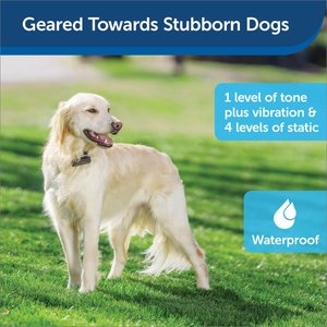 PetSafe Stubborn Dog In-Ground Fence System