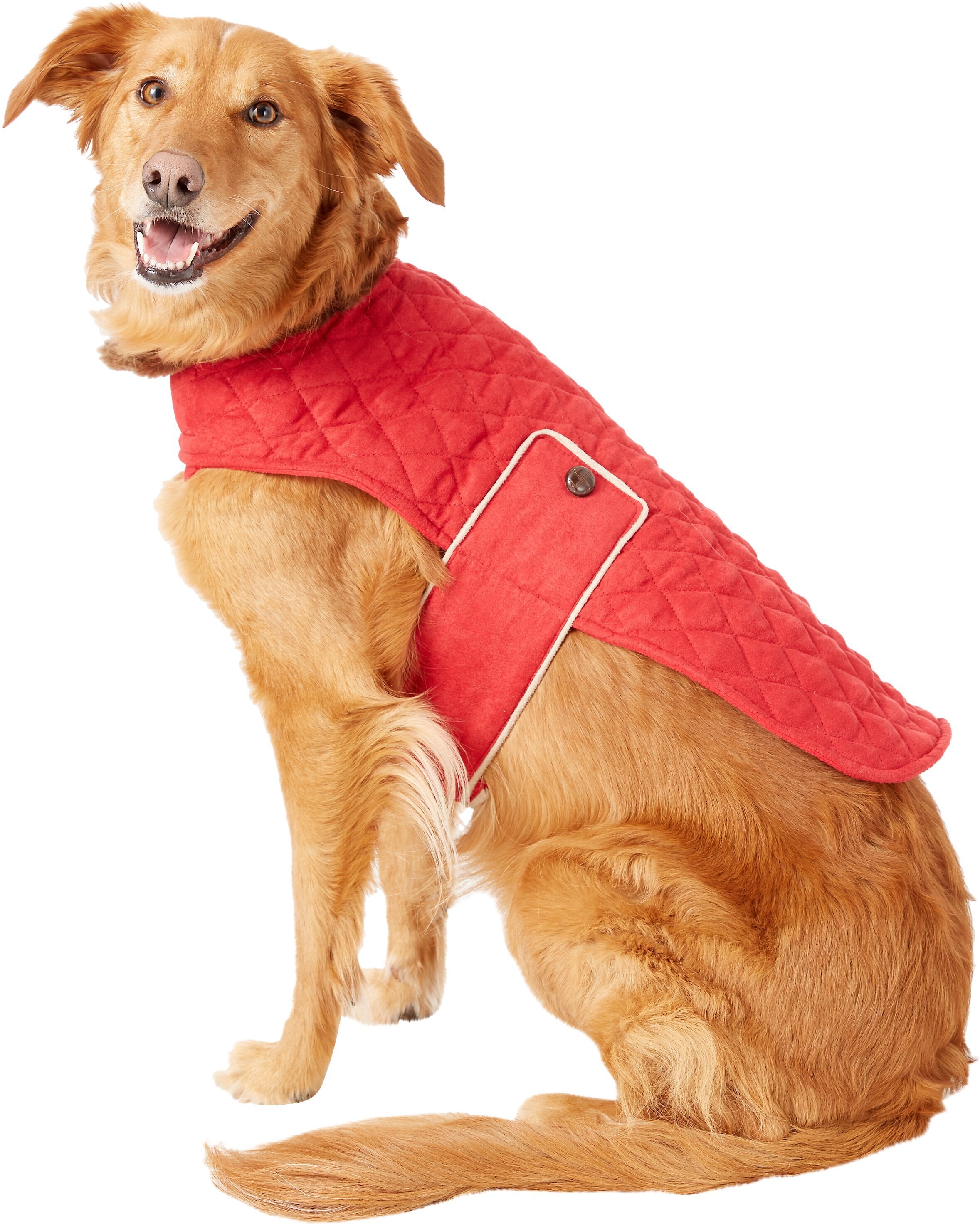 question already typed in re dog measurements for sweater sizing.Don't