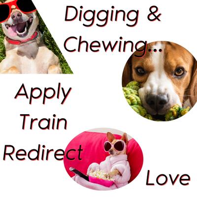 Show full view: Zone Protects Dog & Cat Digging & Chewing Prevention Spray & Chew Toy Bundle No Holes!, 32-fl oz + Don’t Chew Dare!, 8-fl oz slide 5 of 5