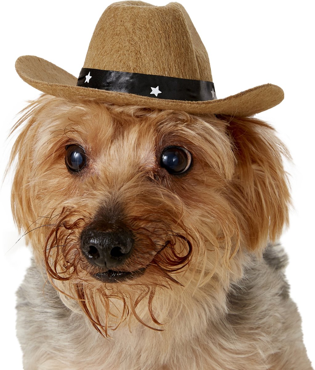 Cowboy clearance hat dog