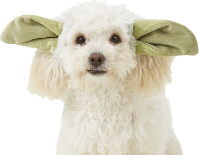 Rubie's Costume Company Yoda Ears Dog & Cat Costume, slide 1 of 1