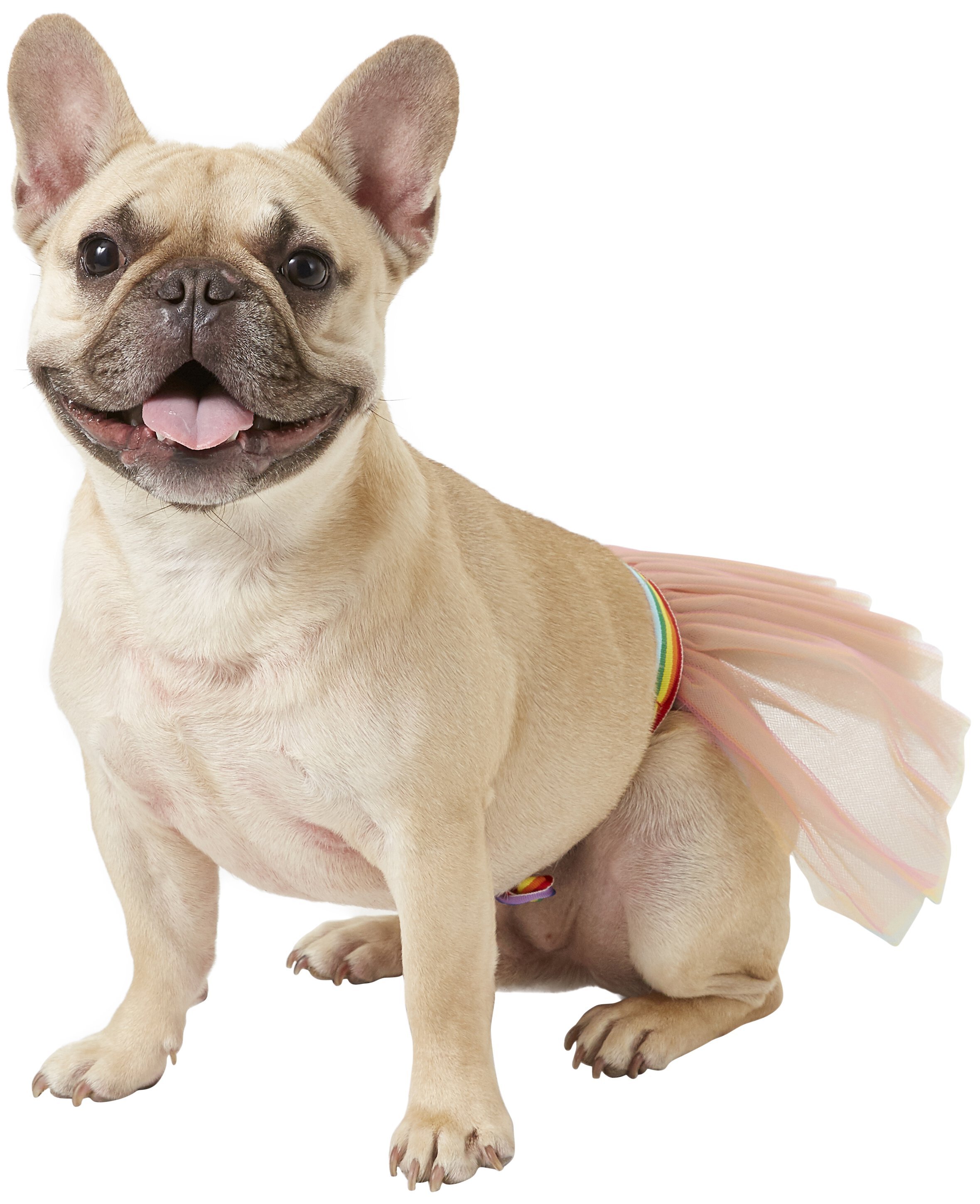 Rubie's Costume Company Christmas Dog & Cat Tutu