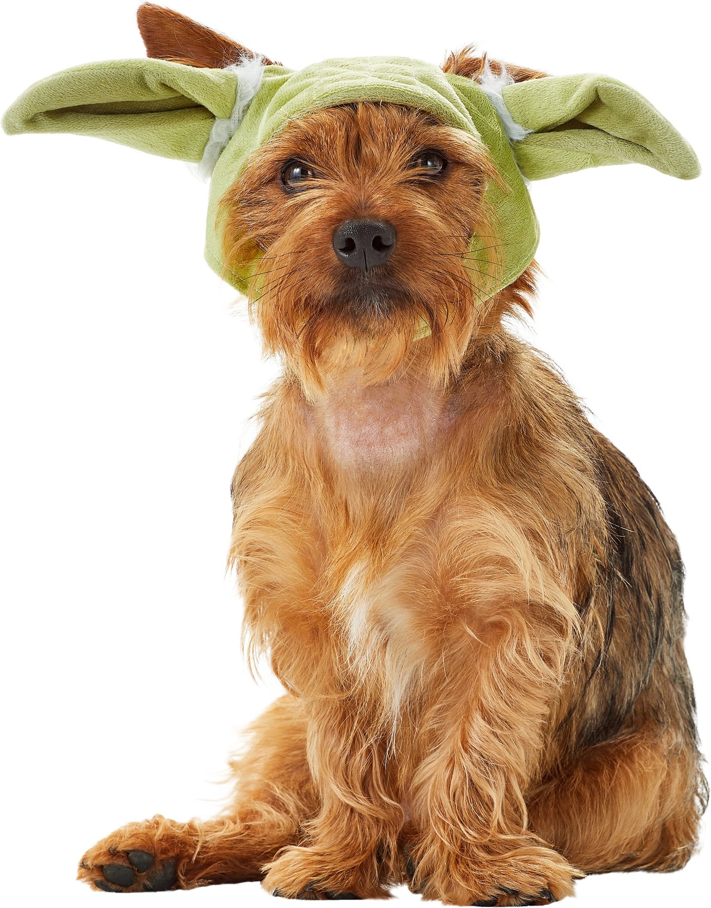 RUBIE'S COSTUME COMPANY Yoda Ears Cat Costume 