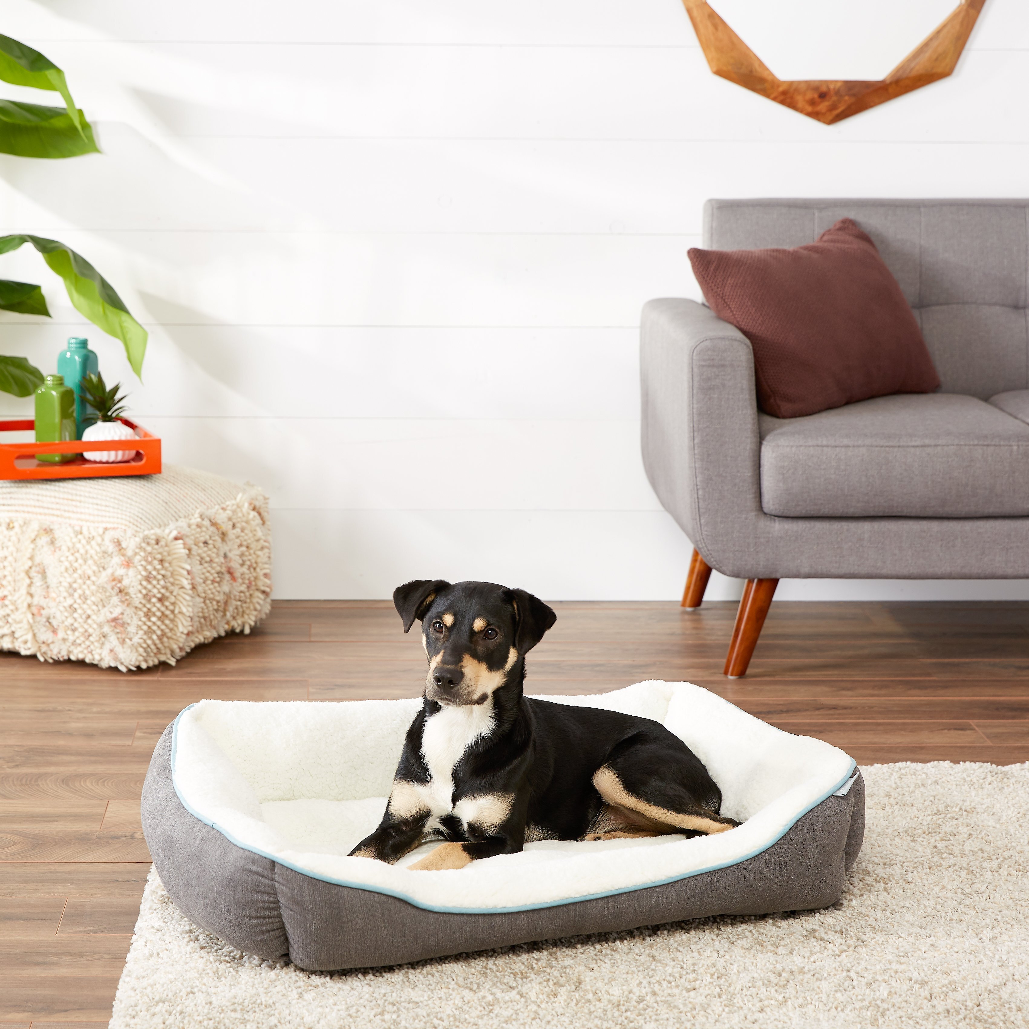FRISCO Sherpa Rectangular Bolster Dog Bed Customer Questions