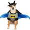 Show in main carousel: Rubie's Costume Company Batman Dog & Cat Costume, Small slide 1 of 9