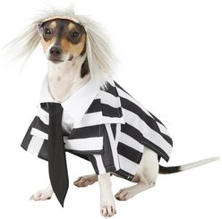 Rubie's Costume Company Beetlejuice Dog & Cat Costume, Small