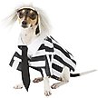 Show in main carousel: Rubie's Costume Company Beetlejuice Dog & Cat Costume, Small slide 1 of 9