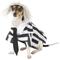 Show in main carousel: Rubie's Costume Company Beetlejuice Dog & Cat Costume, Small slide 1 of 10